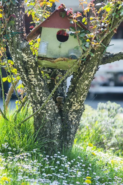 Apartment Bastaja スルニュ エクステリア 写真